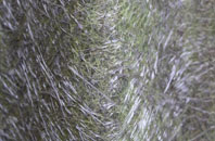 Tynron fibreglass roof work